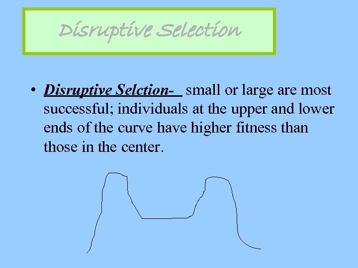 Disruptive Selection • Disruptive Selction- small or large are most successful; individuals at the