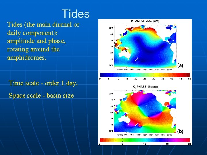 Tides (the main diurnal or daily component): amplitude and phase, rotating around the amphidromes.