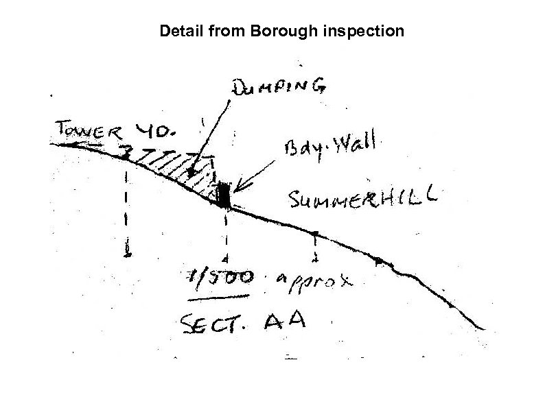 Detail from Borough inspection 