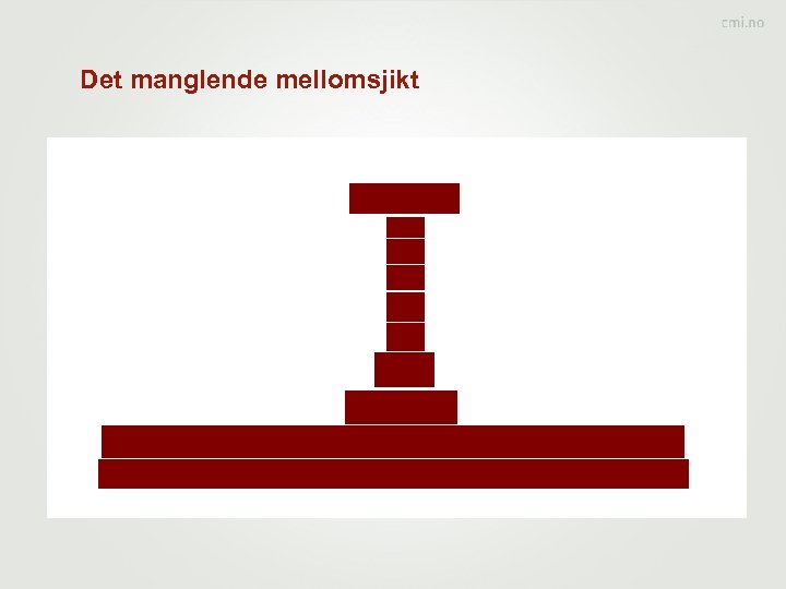 Det manglende mellomsjikt 