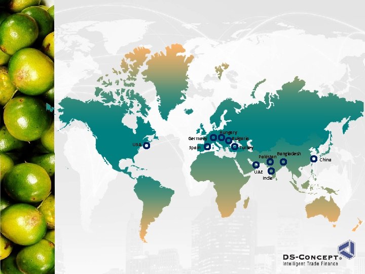 USA Germany Spain Hungary Bulgaria Turkey Pakistan UAE India Bangladesh China 