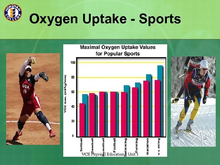 Oxygen Uptake - Sports VCE Physical Education - Unit 3 