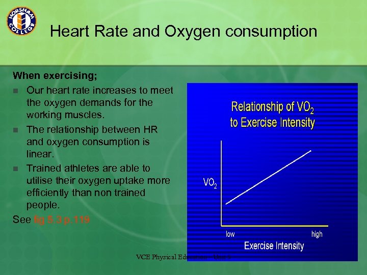 Heart Rate and Oxygen consumption When exercising; n Our heart rate increases to meet