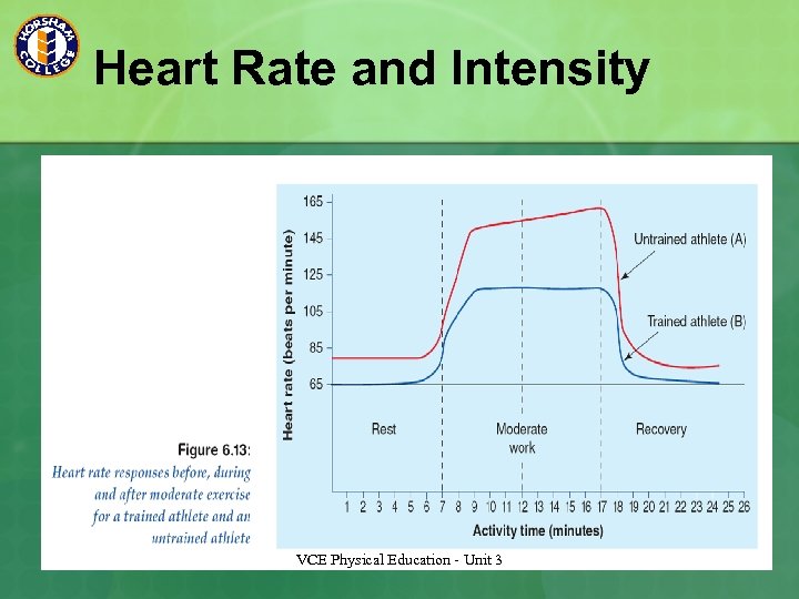 Heart Rate and Intensity VCE Physical Education - Unit 3 