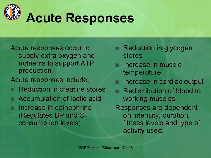 Acute Responses Acute responses occur to supply extra oxygen and nutrients to support ATP