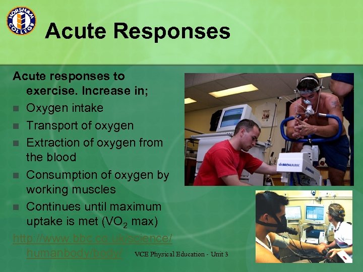 Acute Responses Acute responses to exercise. Increase in; n Oxygen intake n Transport of