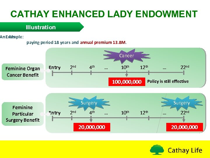 CATHAY ENHANCED LADY ENDOWMENT Illustration An Example: Ms. paying period 18 years and annual