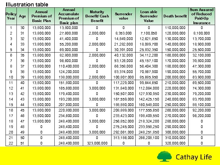 Illustration table 1 2 3 4 30 31 32 33 13, 800, 000 Annual