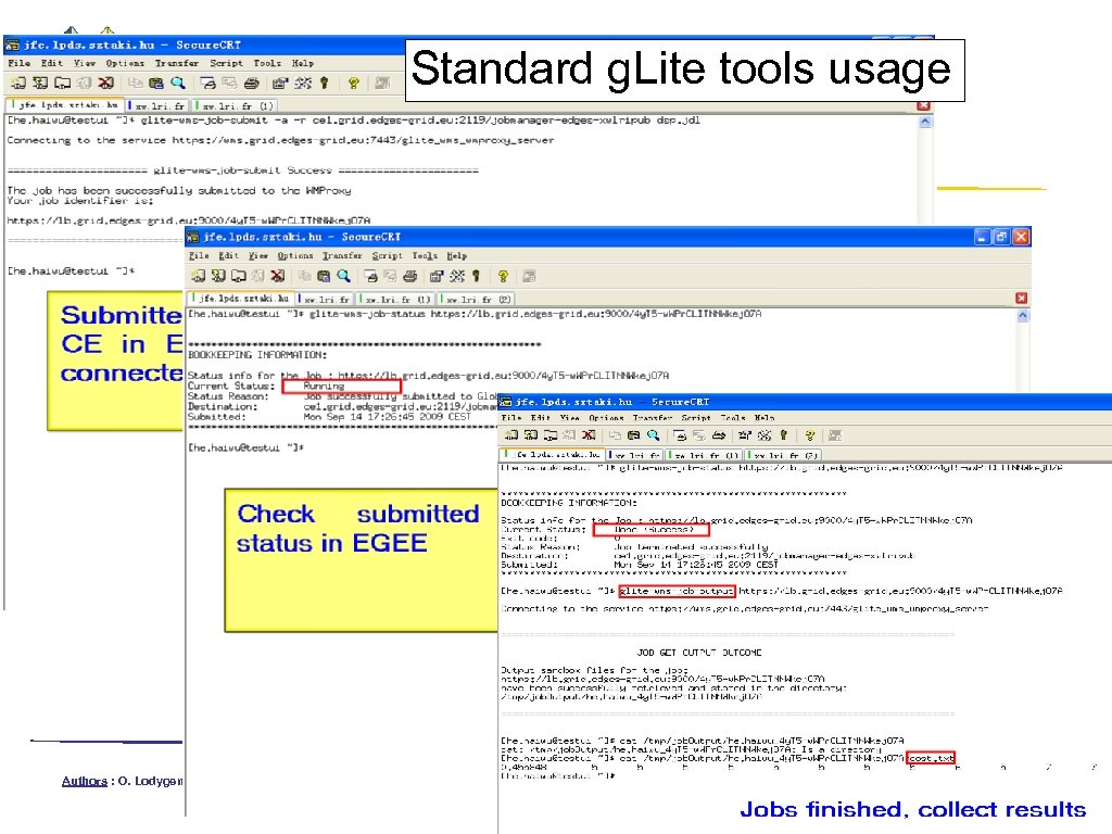 Standard g. Lite tools usage Authors : O. Lodygensky HUST : Xtrem. Web-HEP 10