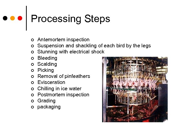 Processing Steps ¢ ¢ ¢ Antemortem inspection Suspension and shackling of each bird by