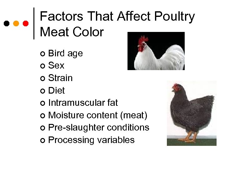 Factors That Affect Poultry Meat Color Bird age ¢ Sex ¢ Strain ¢ Diet