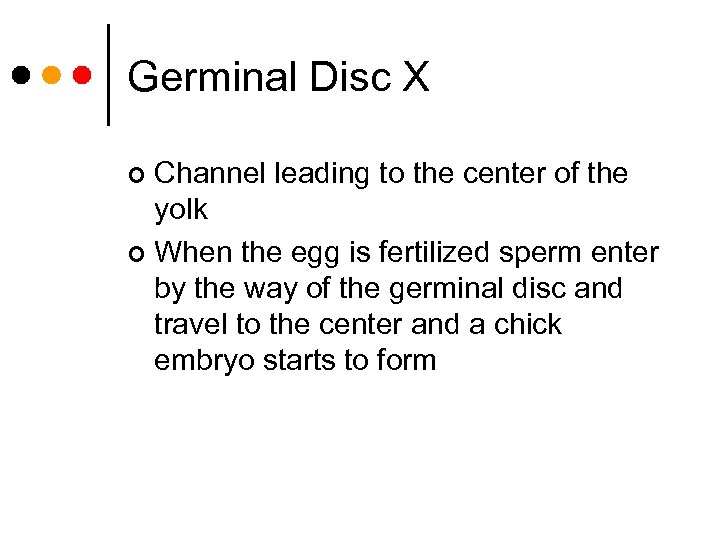 Germinal Disc X Channel leading to the center of the yolk ¢ When the