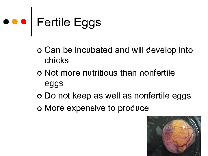 Fertile Eggs Can be incubated and will develop into chicks ¢ Not more nutritious