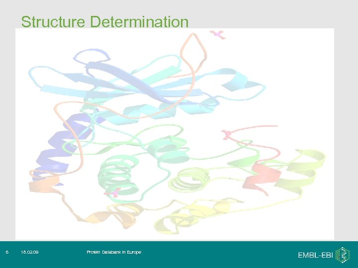 Structure Determination 6 18. 02. 09 Protein Databank in Europe 