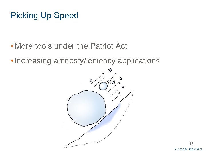 Picking Up Speed • More tools under the Patriot Act • Increasing amnesty/leniency applications
