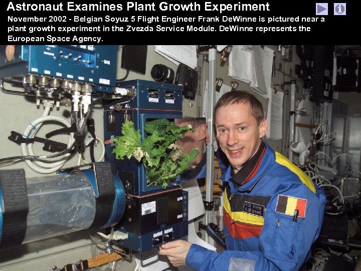 Astronaut Examines Plant Growth Experiment November 2002 - Belgian Soyuz 5 Flight Engineer Frank