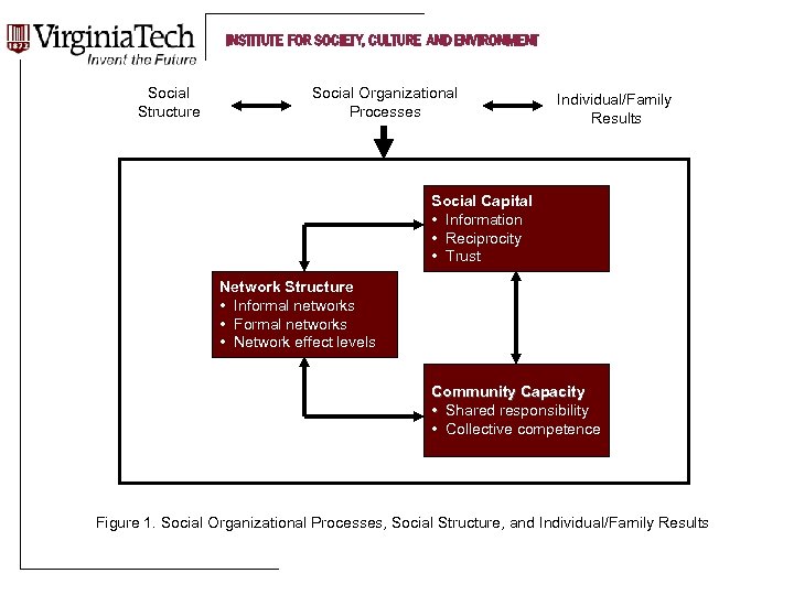 INSTITUTE FOR SOCIETY, CULTURE AND ENVIRONMENT Social Structure Social Organizational Processes Individual/Family Results Social