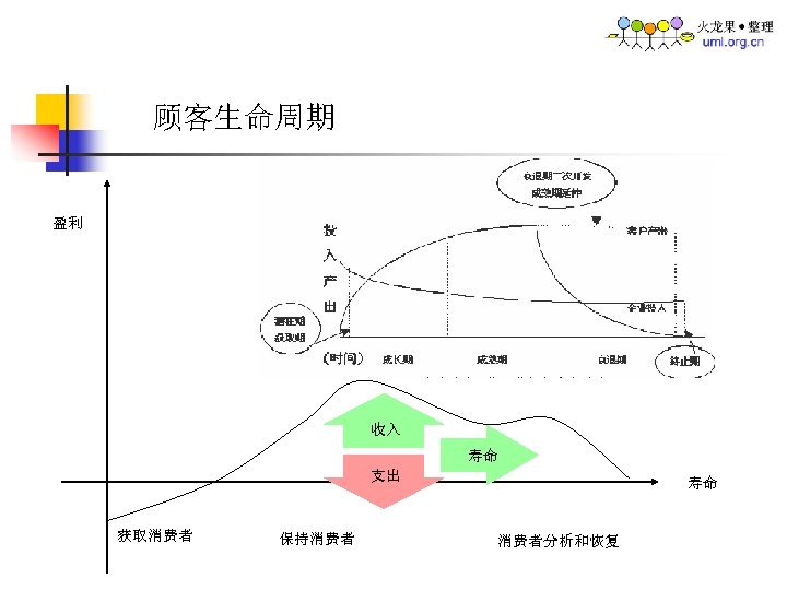 顾客生命周期 盈利 收入 寿命 支出 获取消费者 保持消费者 寿命 消费者分析和恢复 