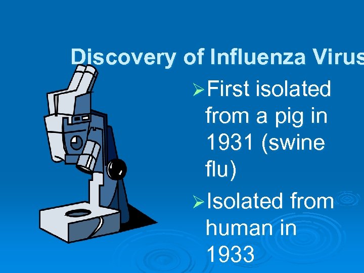 Discovery of Influenza Virus ØFirst isolated from a pig in 1931 (swine flu) ØIsolated