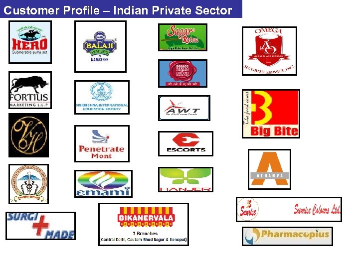 Customer Profile – Indian Private Sector 