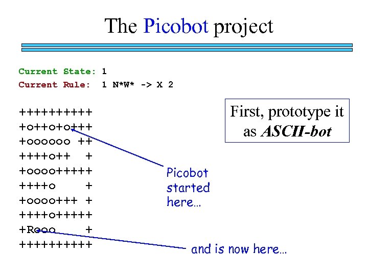 The Picobot project Current State: 1 Current Rule: 1 N*W* -> X 2 +++++