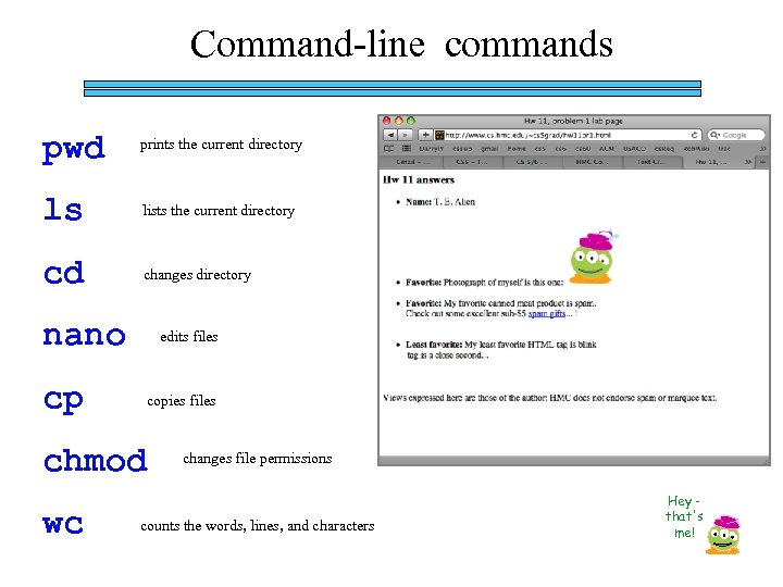 Command-line commands pwd prints the current directory ls lists the current directory cd changes