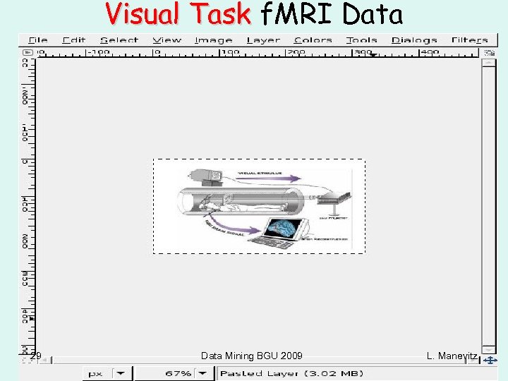 Visual Task f. MRI Data (Courtesy of Rafi Malach, Weizmann Institute) • There are