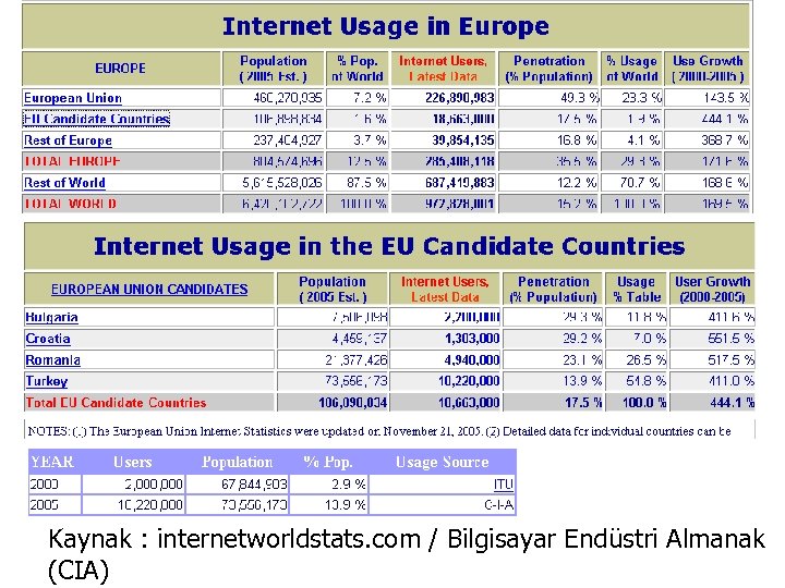 Kaynak : internetworldstats. com / Bilgisayar Endüstri Almanak (CIA) 