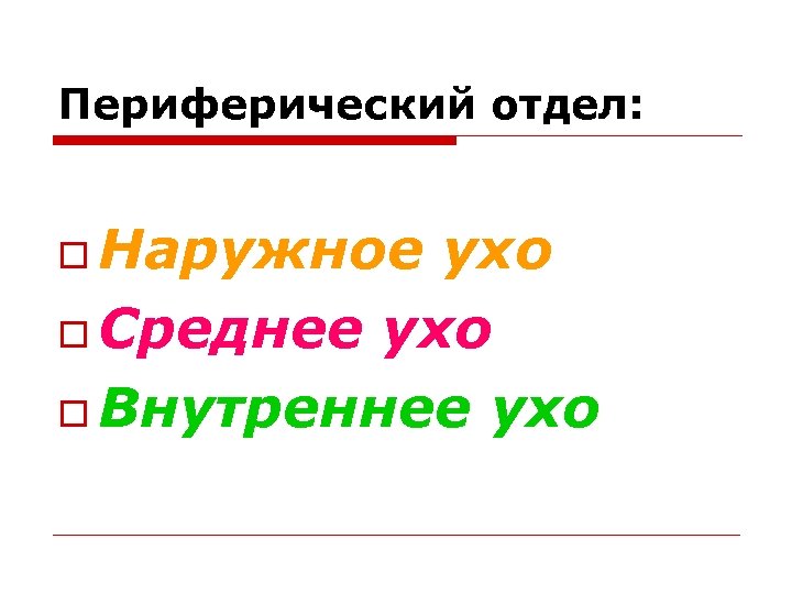 Периферический отдел: o Наружное ухо o Среднее ухо o Внутреннее ухо 