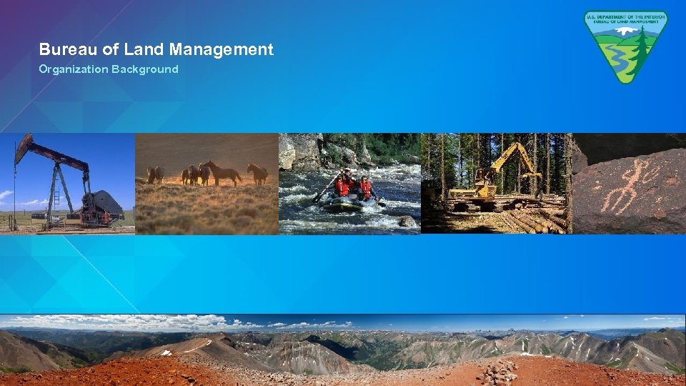 Bureau of Land Management Organization Background 