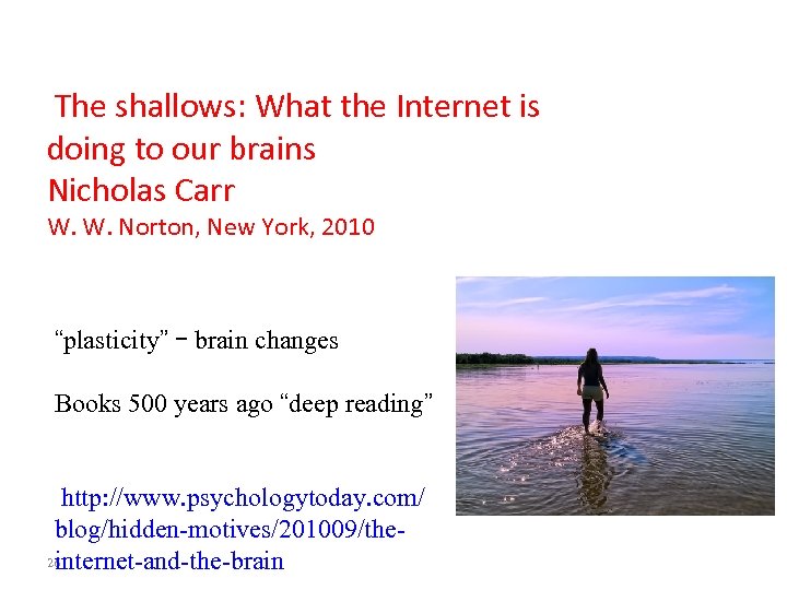 The shallows: What the Internet is doing to our brains Nicholas Carr W. W.