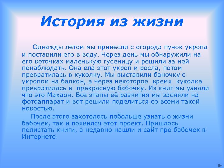 История из жизни Однажды летом мы принесли с огорода пучок укропа и поставили его