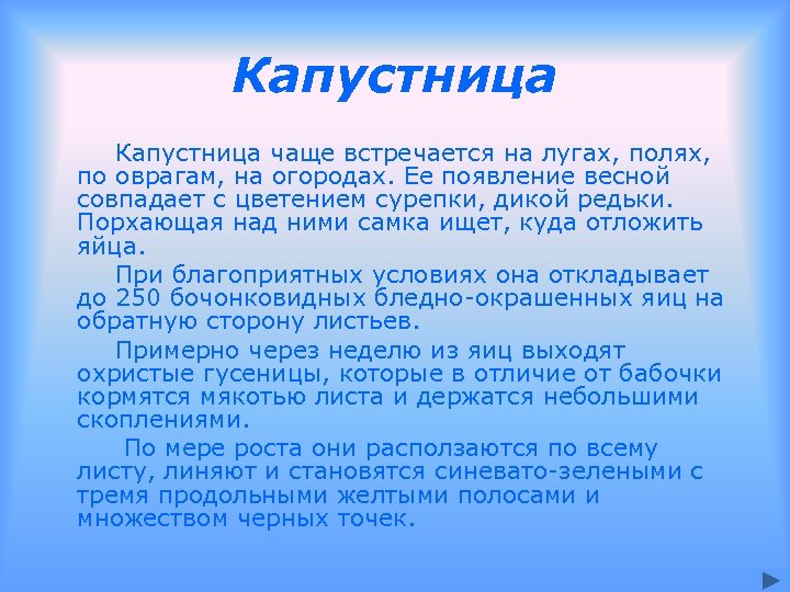 Капустница чаще встречается на лугах, полях, по оврагам, на огородах. Ее появление весной совпадает
