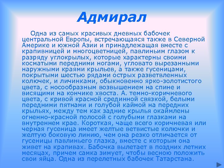 Адмирал Одна из самых красивых дневных бабочек центральной Европы, встречающаяся также в Северной Америке