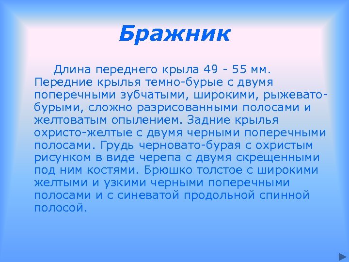 Бражник Длина переднего крыла 49 - 55 мм. Передние крылья темно-бурые с двумя поперечными