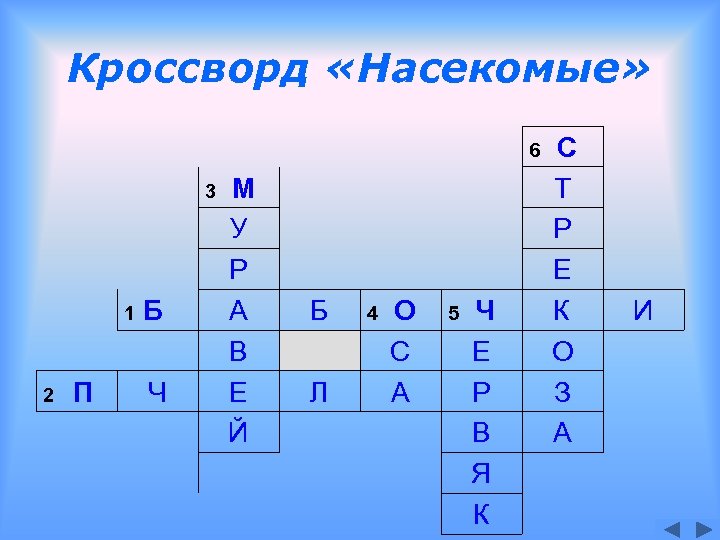 Кроссворд «Насекомые» 6 3 1 2 П Б Ч М У Р А В