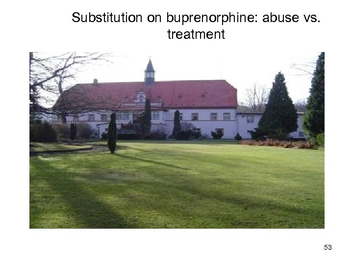 Substitution on buprenorphine: abuse vs. treatment 53 