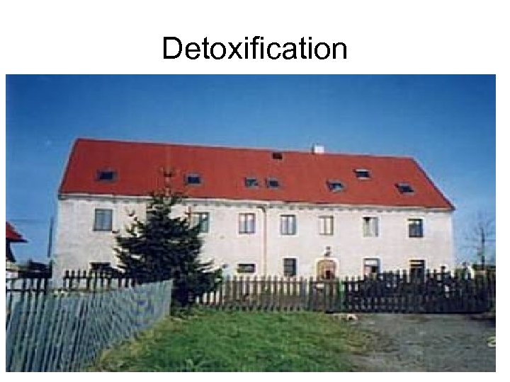 Detoxification 