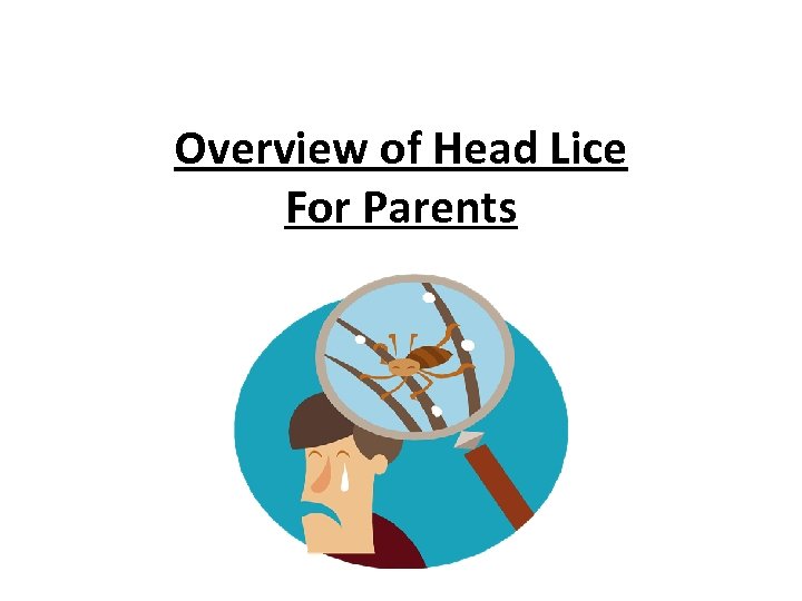 Overview of Head Lice For Parents 
