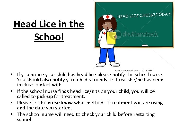 Head Lice in the School • If you notice your child has head lice