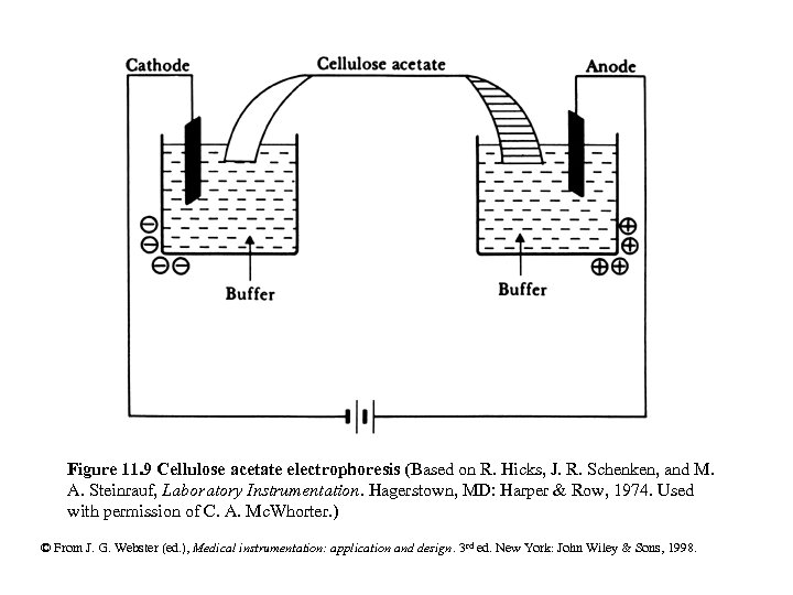 Figure 11. 9 Cellulose acetate electrophoresis (Based on R. Hicks, J. R. Schenken, and