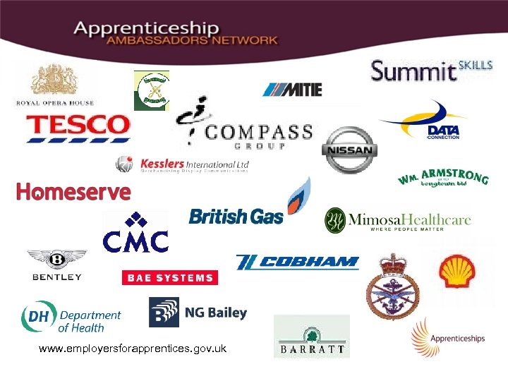 www. employersforapprentices. gov. uk 
