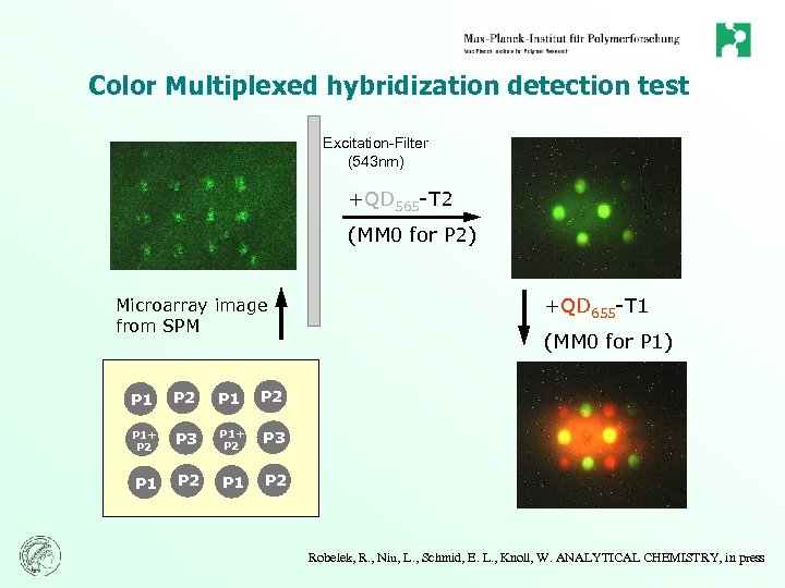Color Multiplexed hybridization detection test Excitation-Filter (543 nm) +QD 565 -T 2 (MM 0