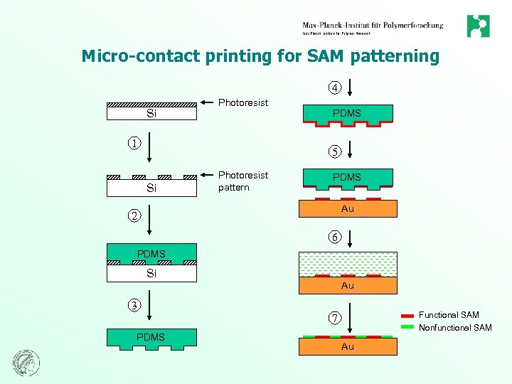 Micro-contact printing for SAM patterning 4 Si Photoresist 1 PDMS 5 Si Photoresist pattern