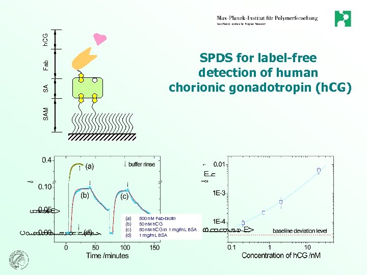 h. CG SAM SA Fab SPDS for label-free detection of human chorionic gonadotropin (h.