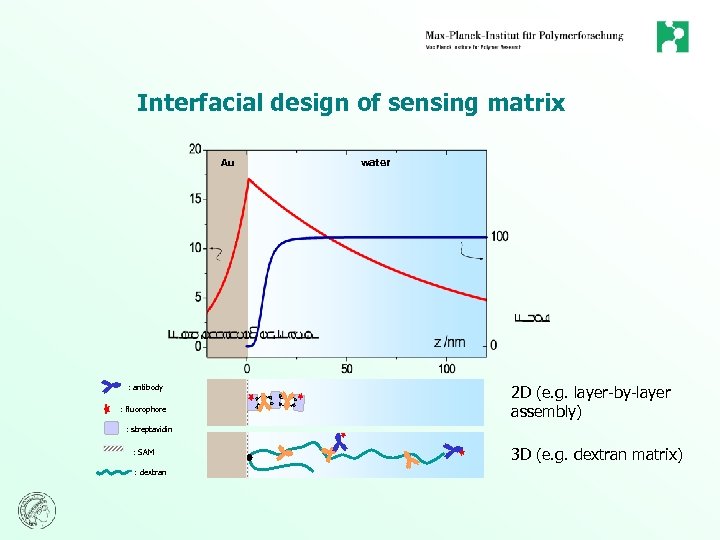 Interfacial design of sensing matrix Au : antibody : fluorophore water 2 D (e.