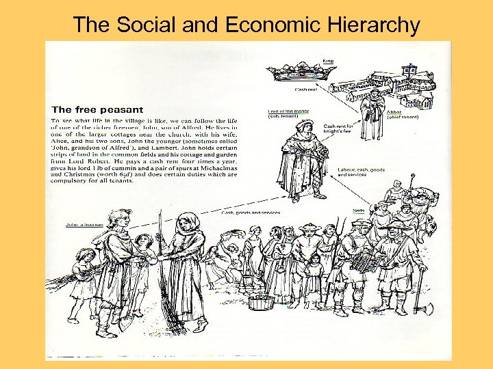 The Social and Economic Hierarchy 