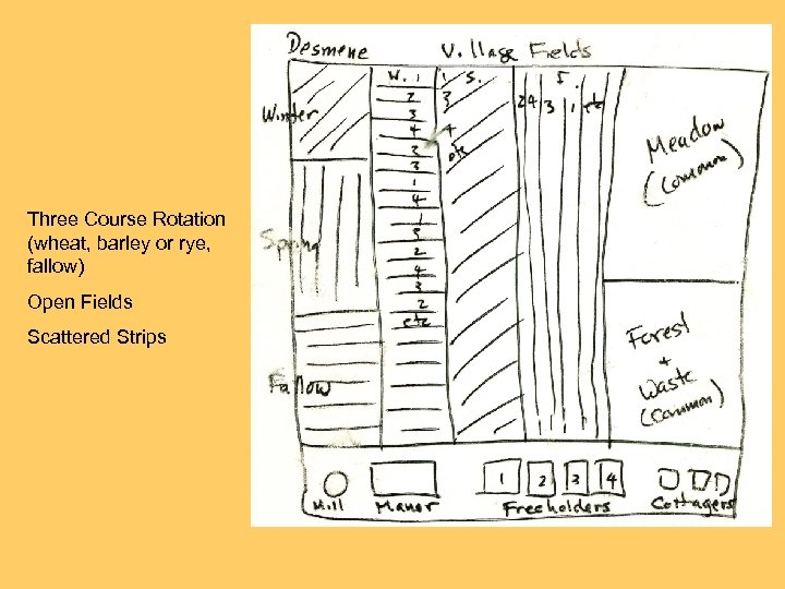 Three Course Rotation (wheat, barley or rye, fallow) Open Fields Scattered Strips 