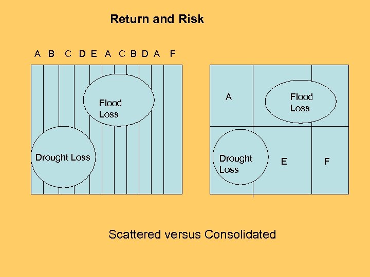 Return and Risk A B C D E A C B D A Flood