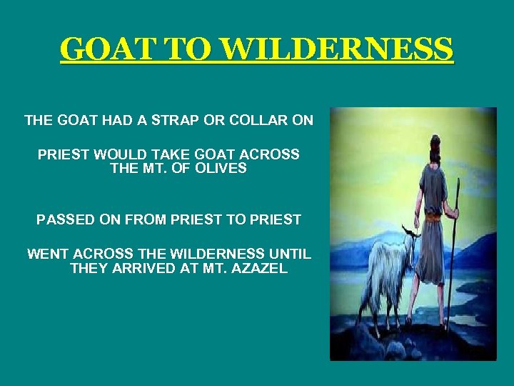 GOAT TO WILDERNESS THE GOAT HAD A STRAP OR COLLAR ON PRIEST WOULD TAKE